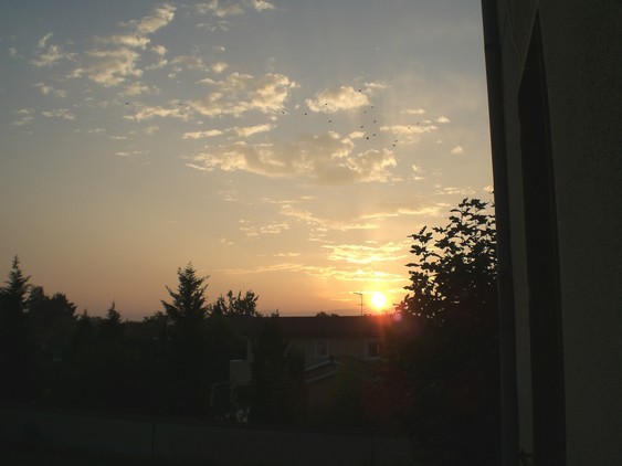 vue sur jardin coucher de soleil appartement roanne