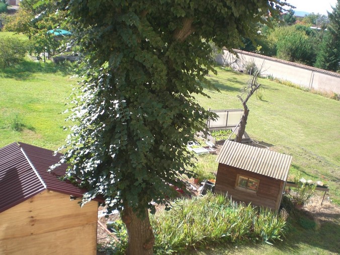 vue sur le jardin depuis la cuisine de l'appartement